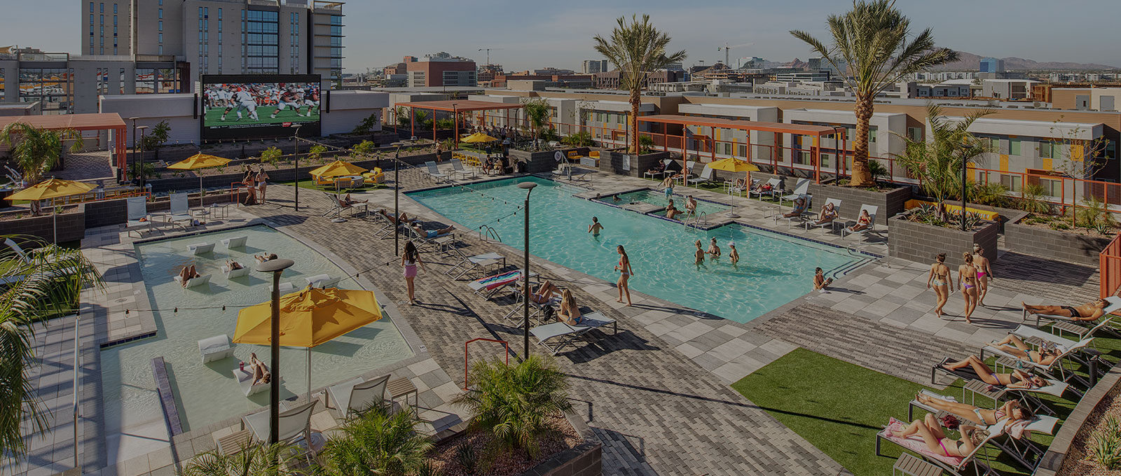 Contact Us Apollo Tempe