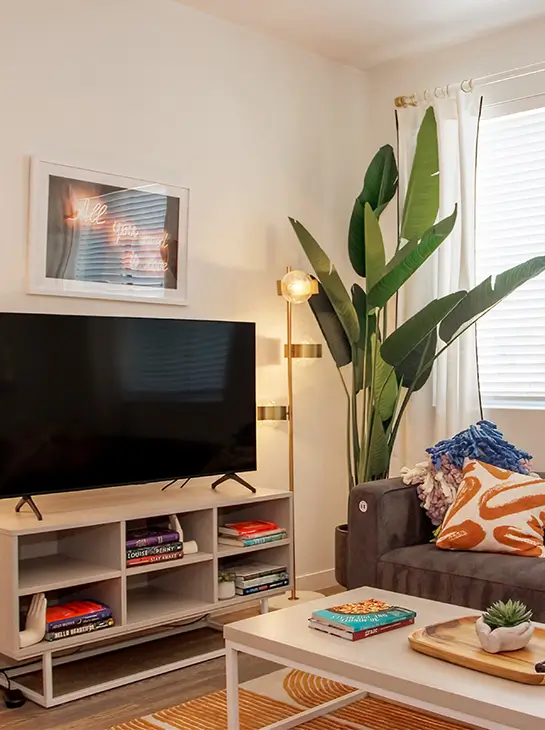 furnished living space