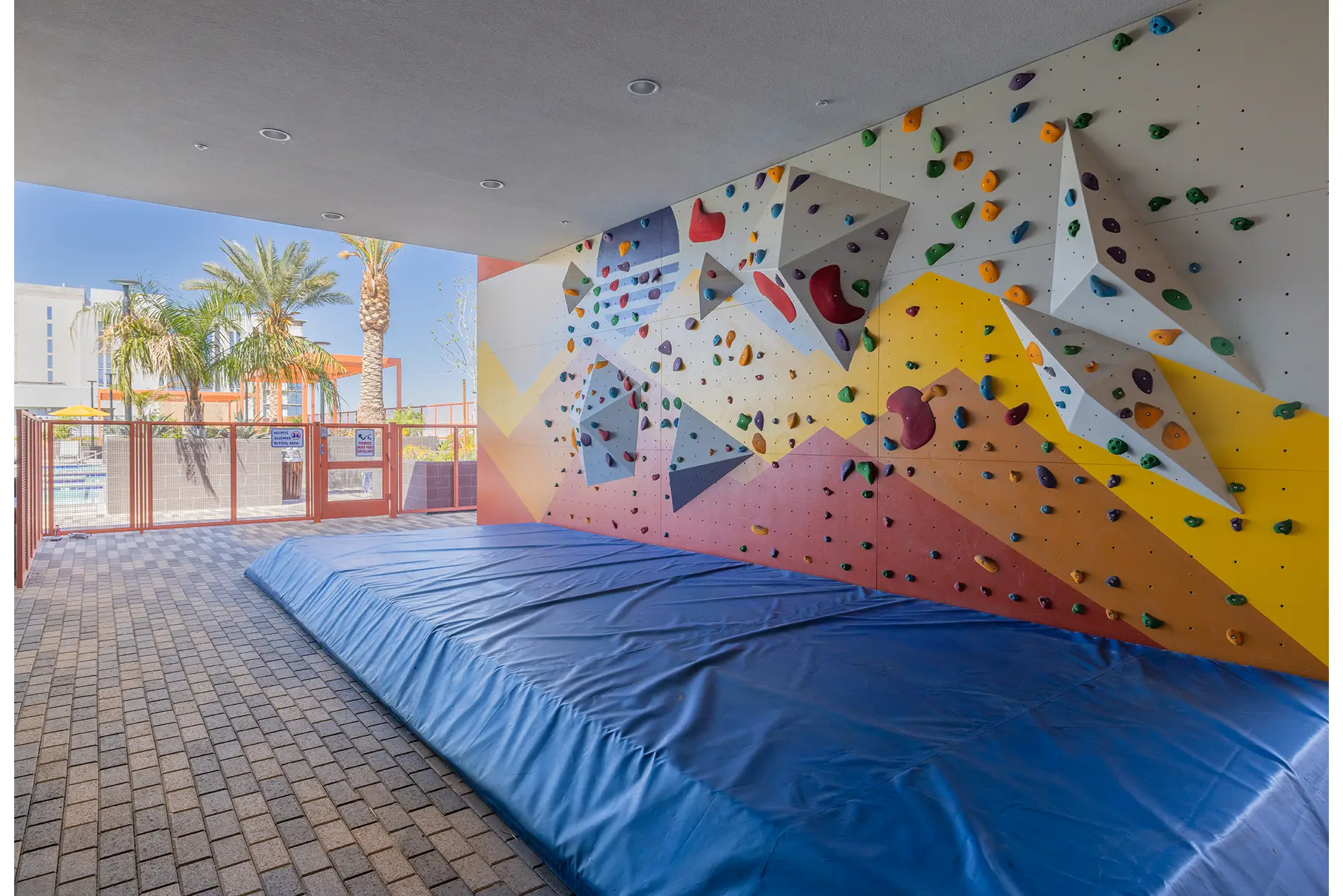 Apollo tempe rock wall